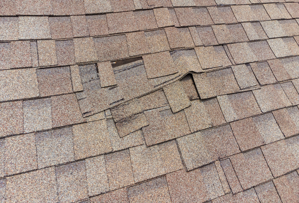10 Signs Your Roof Needs Repair (Before It Becomes a Major Expense)