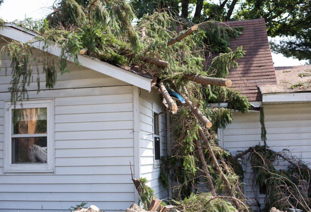 How to File a Roof Insurance Claim (Step-by-Step Guide for Homeowners)