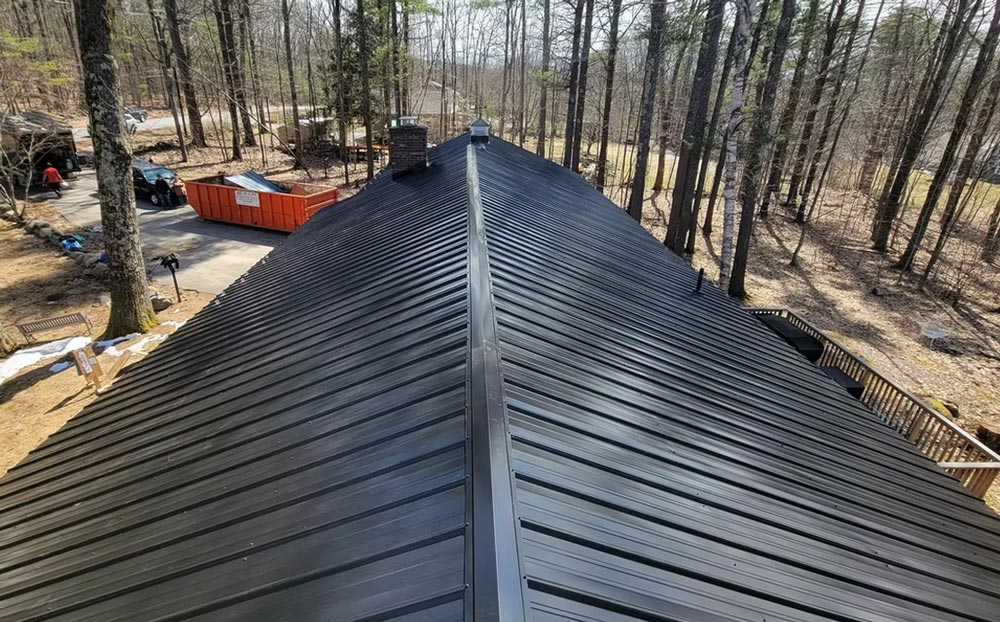 Roof In The Woods