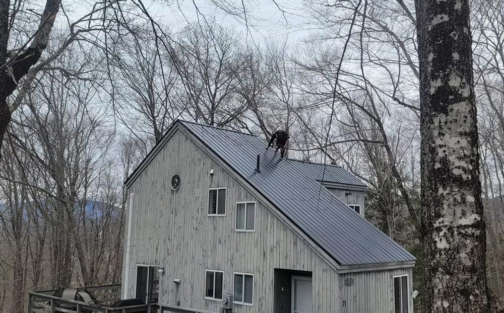 Roof Install